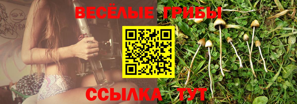 Псилоцибиновые грибы GOLDEN TEACHER Ессентуки