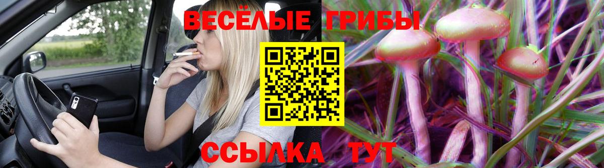 Ессентуки  Псилоцибиновые грибы GOLDEN TEACHER  Вход с VPN 